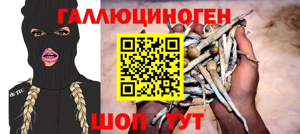 Вольск  Галлюциногенные грибы Cubensis  Вход с VPN 